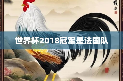 世界杯2018冠军是法国队