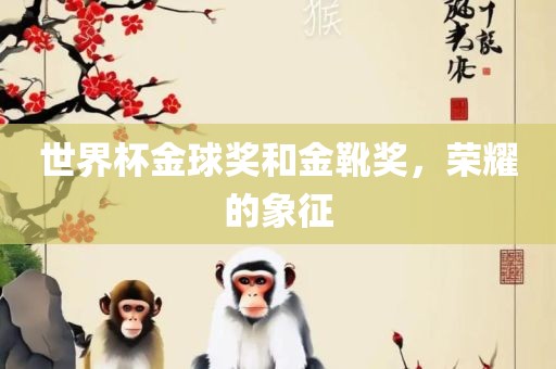 世界杯金球奖和金靴奖，荣耀的象征