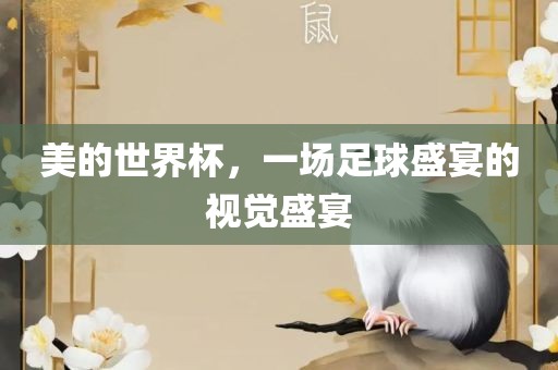 美的世界杯，一场足球盛宴的视觉盛宴