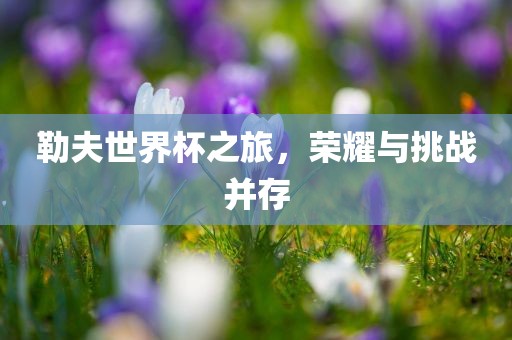勒夫世界杯之旅，荣耀吉安市靖泰电力工程有限公司与挑战并存
