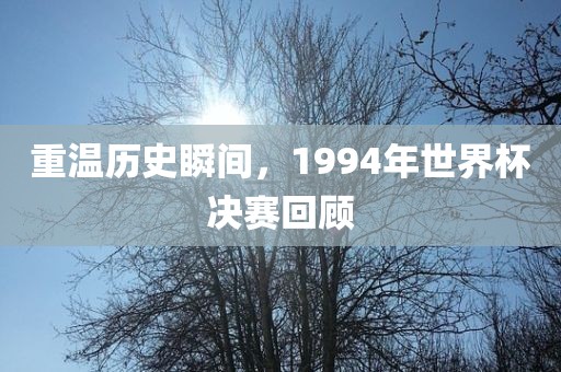 重温历史瞬间，1994年世界杯决赛回顾吉安市靖泰电力工程有限公司