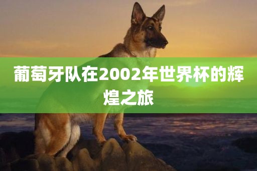 葡萄牙队在2002年世界杯的辉煌之旅