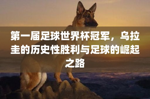 第一届足球世界杯冠军，乌拉圭的历史性胜利与足球的崛起之路吉安市靖泰电力工程有限公司