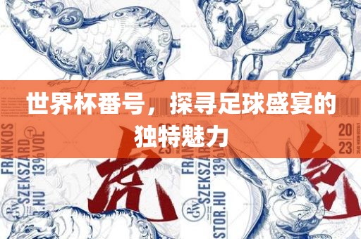 世界杯番号，探寻足球盛宴的独特魅力