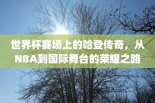世界杯赛场上的哈登传奇，从NBA到国际舞台的荣耀之路吉安市靖泰电力工程有限公司