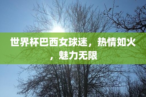 世界杯巴西女球迷，热情如火，魅力无限吉安市靖泰电力工程有限公司