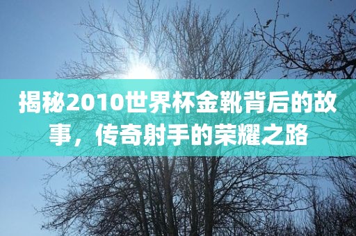 揭秘2010世界杯金靴背后的故事，传奇射手的荣耀之路