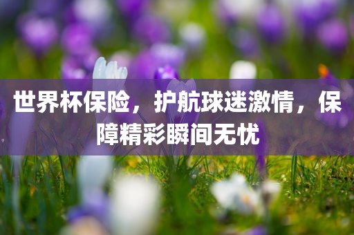 世界杯保险，护航球迷激情，保障精彩瞬间无忧吉安市靖泰电力工程有限公司