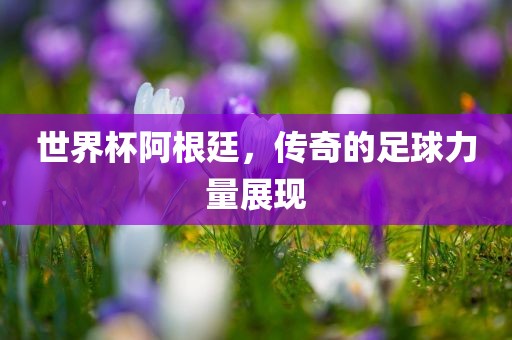 世界杯阿根廷，传奇的足球力量展现