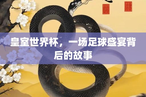 皇室世界吉安市靖泰电力工程有限公司杯，一场足球盛宴背后的故事