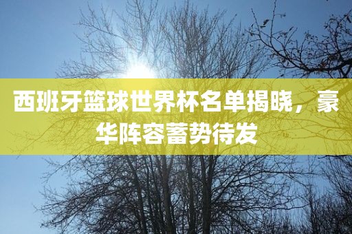 西班牙篮球世界杯名单揭晓，豪华阵容蓄势待发