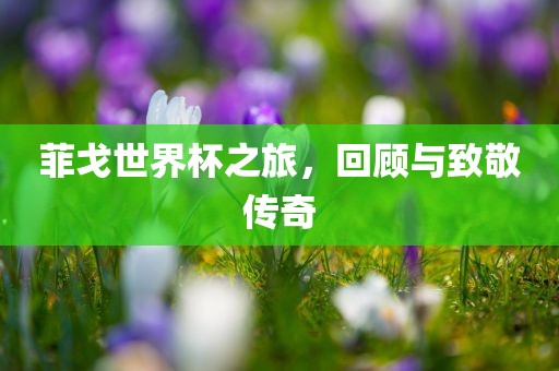 linzizhu 第2页