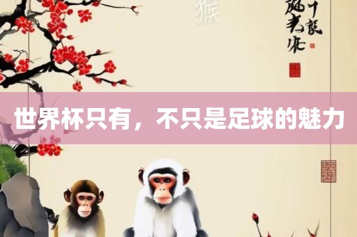 世界杯只有，不只是足吉安市靖泰电力工程有限公司球的魅力