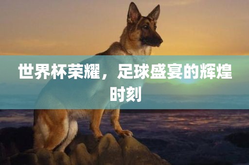 世界杯荣耀，足球盛宴的辉煌时刻