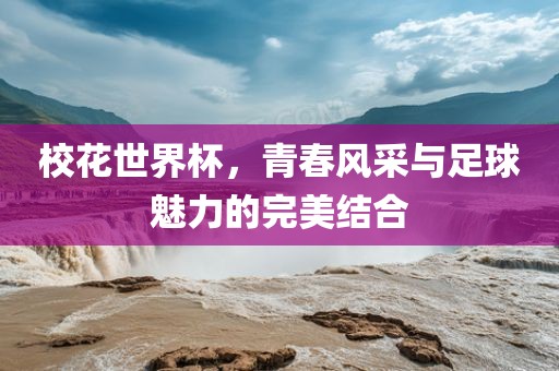 校花世界杯，青春风采与足球魅力的完美结合吉安市靖泰电力工程有限公司