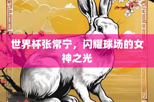 世界杯张常宁，闪耀球场的女神之光吉安市靖泰电力工程有限公司