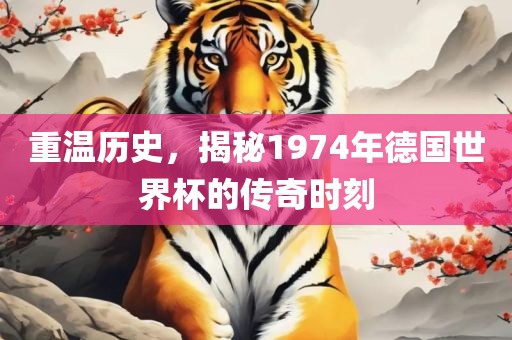 重温历史，揭秘1974年德国世界杯的传奇时刻