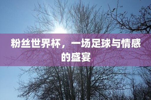 粉丝世界杯，一场足球与情感的盛宴吉安市靖泰电力工程有限公司
