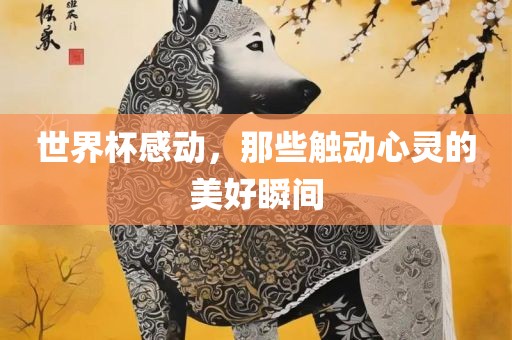 世界杯感动，那些触动心灵的美好瞬间吉安市靖泰电力工程有限公司