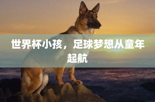 世界杯小孩，足球梦想从童年起航吉安市靖泰电力工程有限公司
