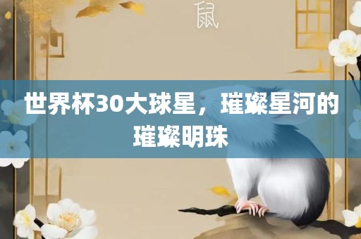 世界杯30大球星，璀璨星河的璀璨明珠