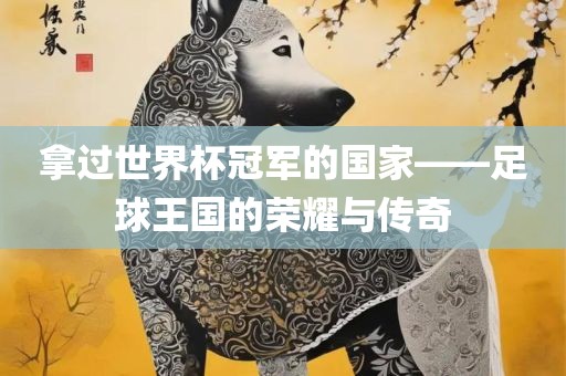 拿过世界杯冠军的国家——足球王国的荣耀与传奇吉安市靖泰电力工程有限公司