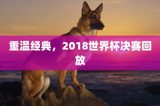 重温经典，2018世界杯决赛回放