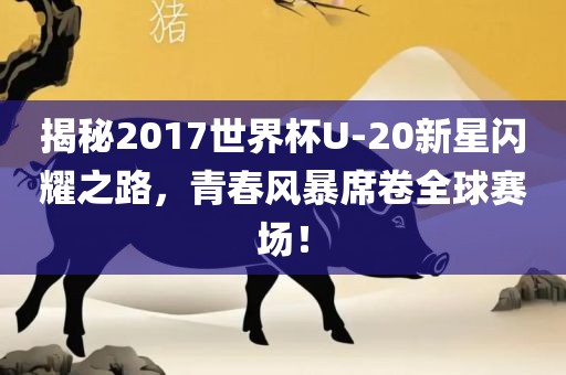揭秘2017世界杯U-20新星闪耀之路，青春风暴席卷全球赛场！
