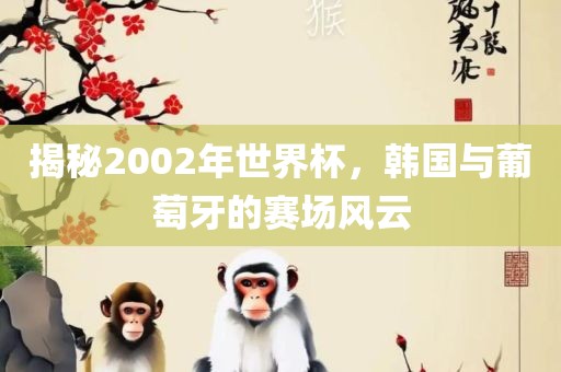 揭秘2002年世界杯，韩国与葡萄牙的赛场风云