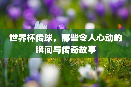 世界杯传球，那些令人心动的瞬间与传奇故事吉安市靖泰电力工程有限公司