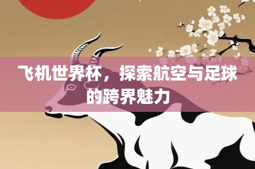 飞机世界杯，探索航空与足球的跨界魅力吉安市靖泰电力工程有限公司