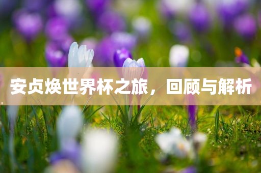 安贞焕世界杯之旅，回顾与解析