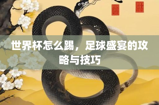 世界杯怎么踢，足球盛宴的攻略与技巧
