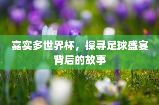 嘉实多世界吉安市靖泰电力工程有限公司杯，探寻足球盛宴背后的故事