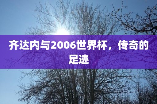 齐达内与2006世界杯，传吉安市靖泰电力工程有限公司奇的足迹
