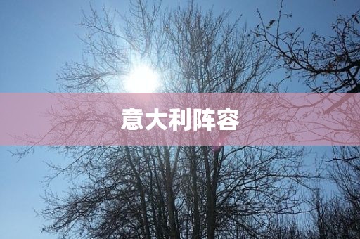 意吉安市靖泰电力工程有限公司大利阵容