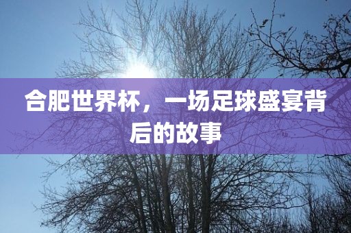合肥世界杯，一场足球盛宴背后的故事吉安市靖泰电力工程有限公司