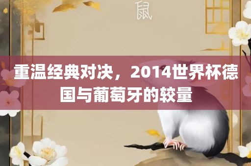 重温经典对决，2014世界杯德国与葡萄牙的较量