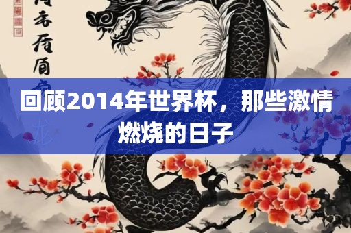 回顾2014年世界杯，那些激情燃烧的日子吉安市靖泰电力工程有限公司