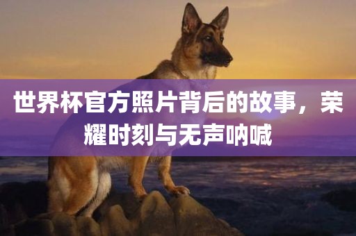 世界杯官方照片背后的故事，荣耀时刻与无声呐喊吉安市靖泰电力工程有限公司
