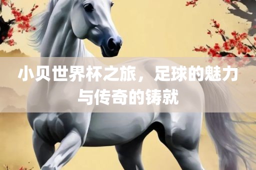 小吉安市靖泰电力工程有限公司贝世界杯之旅，足球的魅力与传奇的铸就