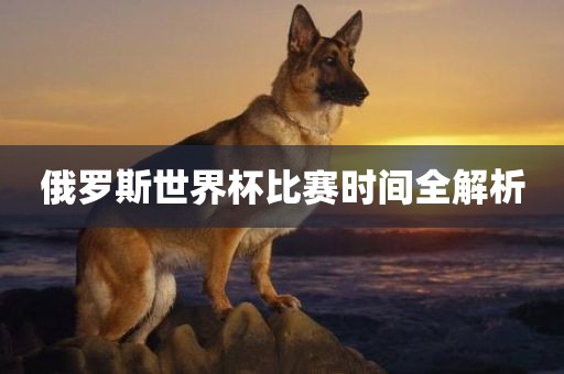俄罗斯世界杯比赛时间全解析