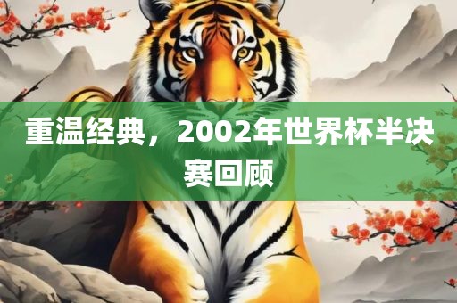 重温经典，2002年世界杯半决赛回顾