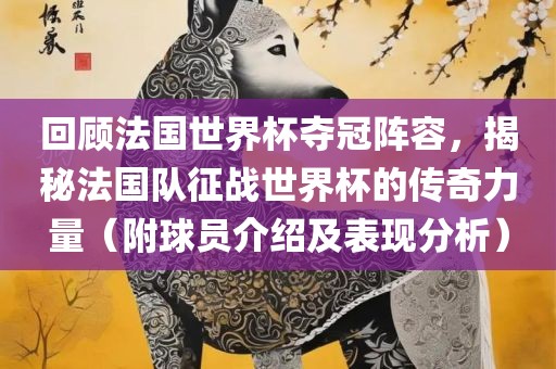 回顾法国吉安市靖泰电力工程有限公司世界杯夺冠阵容，揭秘法国队征战世界杯的传奇力量（附球员介绍及表现分析）