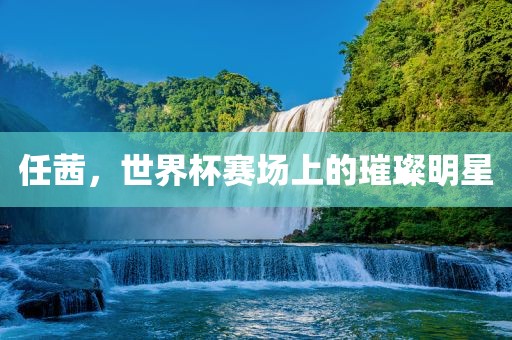 任茜，世界杯赛吉安市靖泰电力工程有限公司场上的璀璨明星
