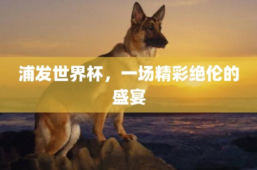 浦发世界杯，一场精彩绝伦的盛宴