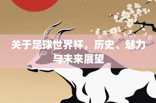 关于足球世界杯，历史、魅力与未来展望