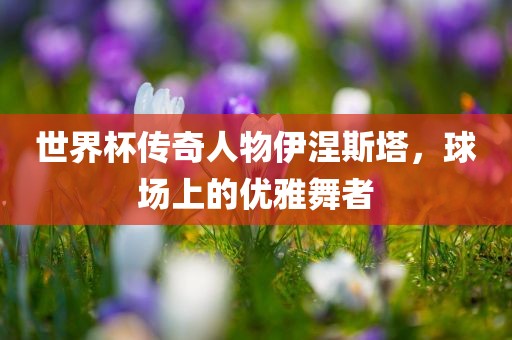 世界杯传奇人物伊涅斯塔，球场上的优雅舞者吉安市靖泰电力工程有限公司