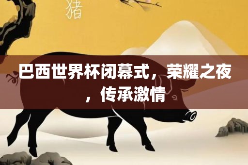 巴西世界杯闭幕式，荣耀之夜，传承激情吉安市靖泰电力工程有限公司