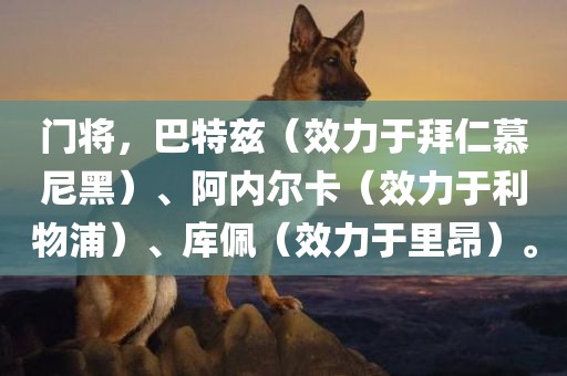 门将，巴特兹（效力于拜仁慕尼黑）、阿内尔卡（效力于利物浦）、库佩（效力于里昂）。